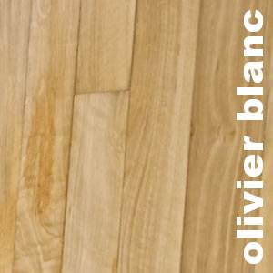 Parquet massif Olivier blanc - 14 x 65 x 500 mm - brut